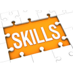 High Level Project Management Skills